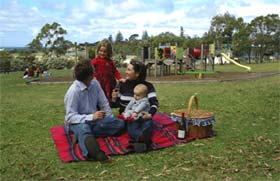 Blackbutt Forest Reserve - Attractions Sydney 0