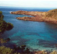 Bass Point Reserve - Attractions Sydney