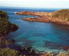 Bass Point Reserve - Attractions Sydney 0