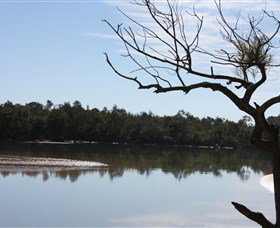 Toormina NSW Attractions Sydney