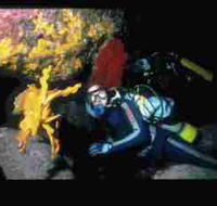 Solitary Islands Marine Park - Attractions Sydney