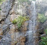 Wedding Bells Forest Drive - Attractions Sydney