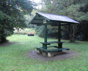 Pine Creek State Forest - Attractions Sydney 0