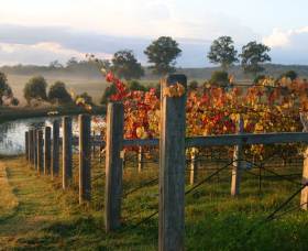 Roses Vineyard At Innes View - Attractions Sydney 2