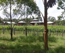 Roses Vineyard At Innes View - Attractions Sydney 3