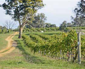 Shaw Vineyard Estate - Attractions Sydney 1