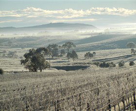 Kurrajong Downs Wines Vineyard - Attractions Sydney 1