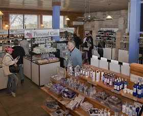 Pokolbin Estate Vineyard - Attractions Sydney 2