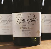 Briar Ridge Vineyard - Attractions Sydney