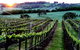 Philip Shaw Wines - thumb 1