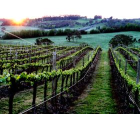 Philip Shaw Wines - Attractions Sydney 1