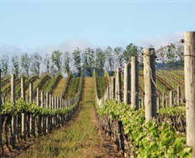 Philip Shaw Wines - Attractions Sydney 0