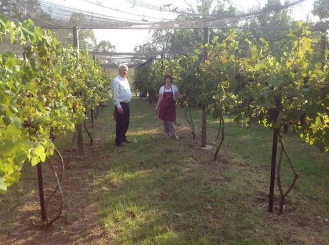 Holland Wines - Attractions Sydney 8