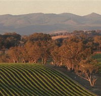 Angullong Wines - Attractions Sydney