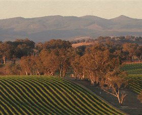 Angullong Wines - Attractions Sydney 0