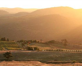 Brindabella Hills Winery - Attractions Sydney 0