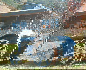 Lake George Winery - Attractions Sydney 0