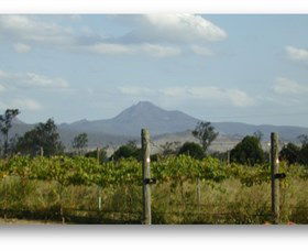 Ironbark Ridge Vineyard - Attractions Sydney 0