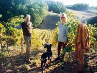 Book Lenswood Accommodation Vacations Attractions Sydney Attractions Sydney
