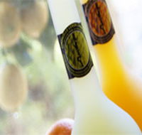 Ambra Limoncello