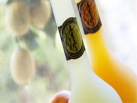 Ambra Limoncello - Attractions Sydney 0