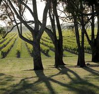 Henry's Drive Vignerons - Attractions Sydney