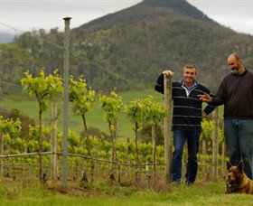 Grampians Estate - Attractions Sydney 0