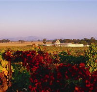 Morris Wines