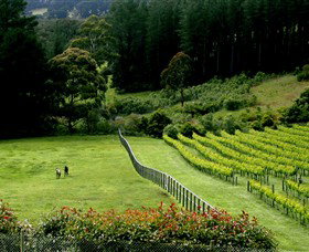 Prancing Horse Estate - Attractions Sydney 2