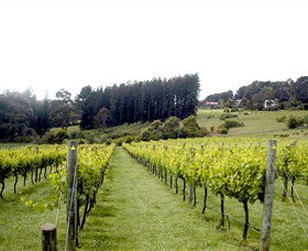 Prancing Horse Estate - Attractions Sydney 3