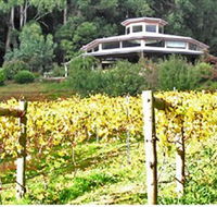 Peveril Vineyard/Beechy Berries - Attractions Sydney