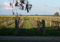 Book Bridgewater On Loddon Accommodation Vacations Attractions Sydney Attractions Sydney