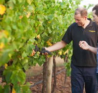 Fratin Brothers Vineyard - Attractions Sydney