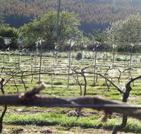 Three Willows Vineyard - Attractions Sydney