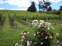 Book Hobart Accommodation Vacations Attractions Sydney Attractions Sydney