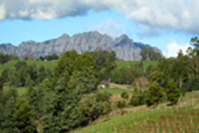 Lake Barrington Vineyard - Attractions Sydney 0