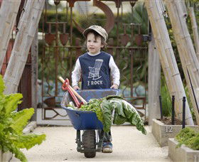 Royal Botanic Gardens Victoria - Attractions Sydney 0