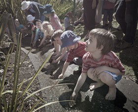 Royal Botanic Gardens Victoria - Attractions Sydney 5