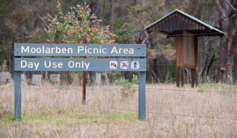 Moolarben Picnic Area - Attractions Sydney 1