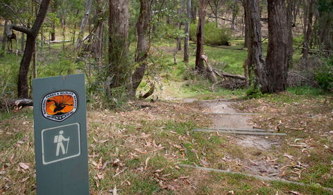 Moolarben Picnic Area - Attractions Sydney 0