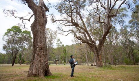 Moolarben Picnic Area - Attractions Sydney 2