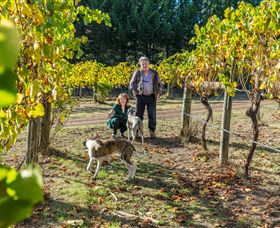 Little River Wines Of Taggerty - Attractions Sydney 0