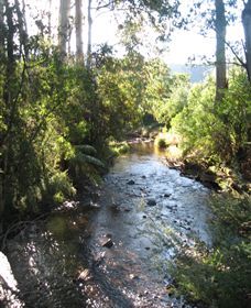 Little River Wines Of Taggerty - Attractions Sydney 5