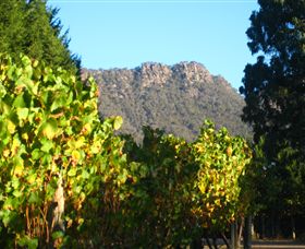 Little River Wines Of Taggerty - Attractions Sydney 6