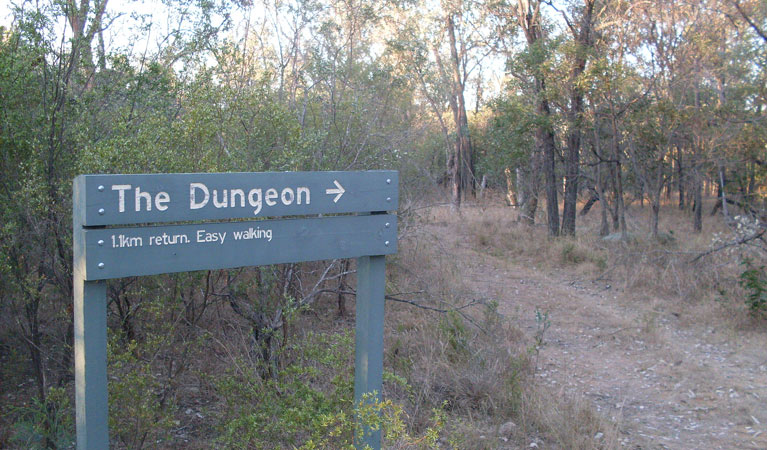 Atholwood NSW Attractions Sydney