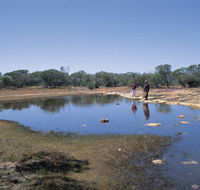 Camel Soak - Attractions Sydney