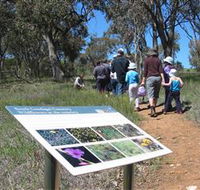 South Gundagai Woodlands Walk - Attractions Sydney