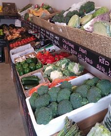 Farmers Harvest - Attractions Sydney 1