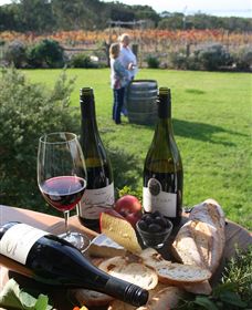 Kiltynane Wines - Attractions Sydney 1