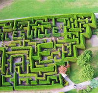 Hedgend Maze and Healesville Laser Sport - Attractions Sydney